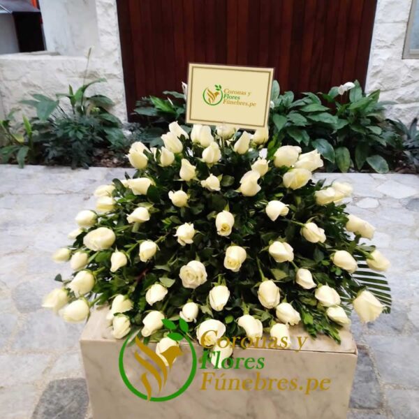 Lagrima de piso de Rosas Blancas F43