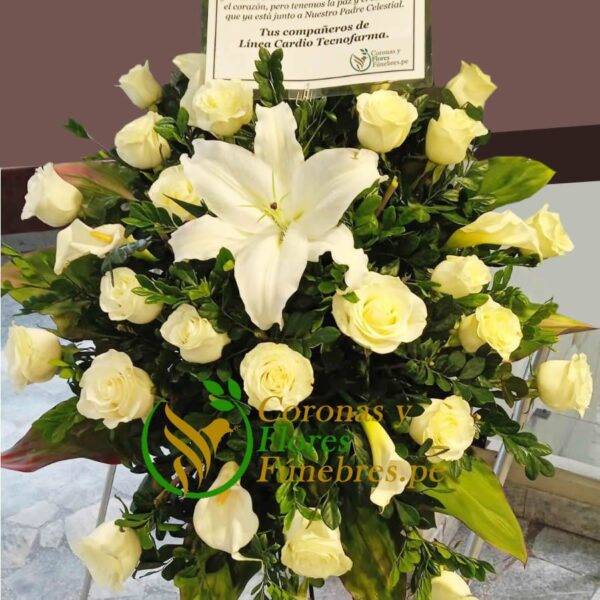 Lágrima Fúnebre de rosas blancas y cartuchos F45