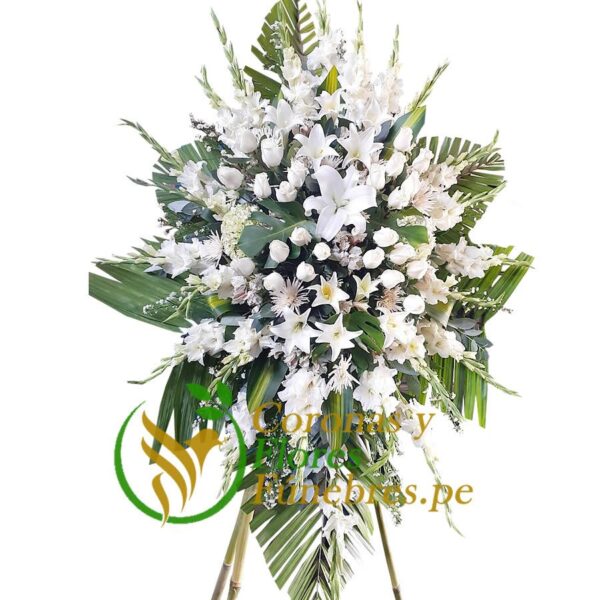 ARREGLO TRIPODE NORMAL F26