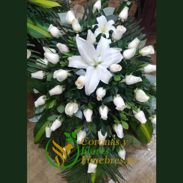 Lágrima de Piso de Rosas blancas F42